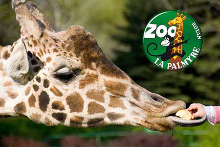 le Zoo de La Palmyre, vacances en Charente Maritime